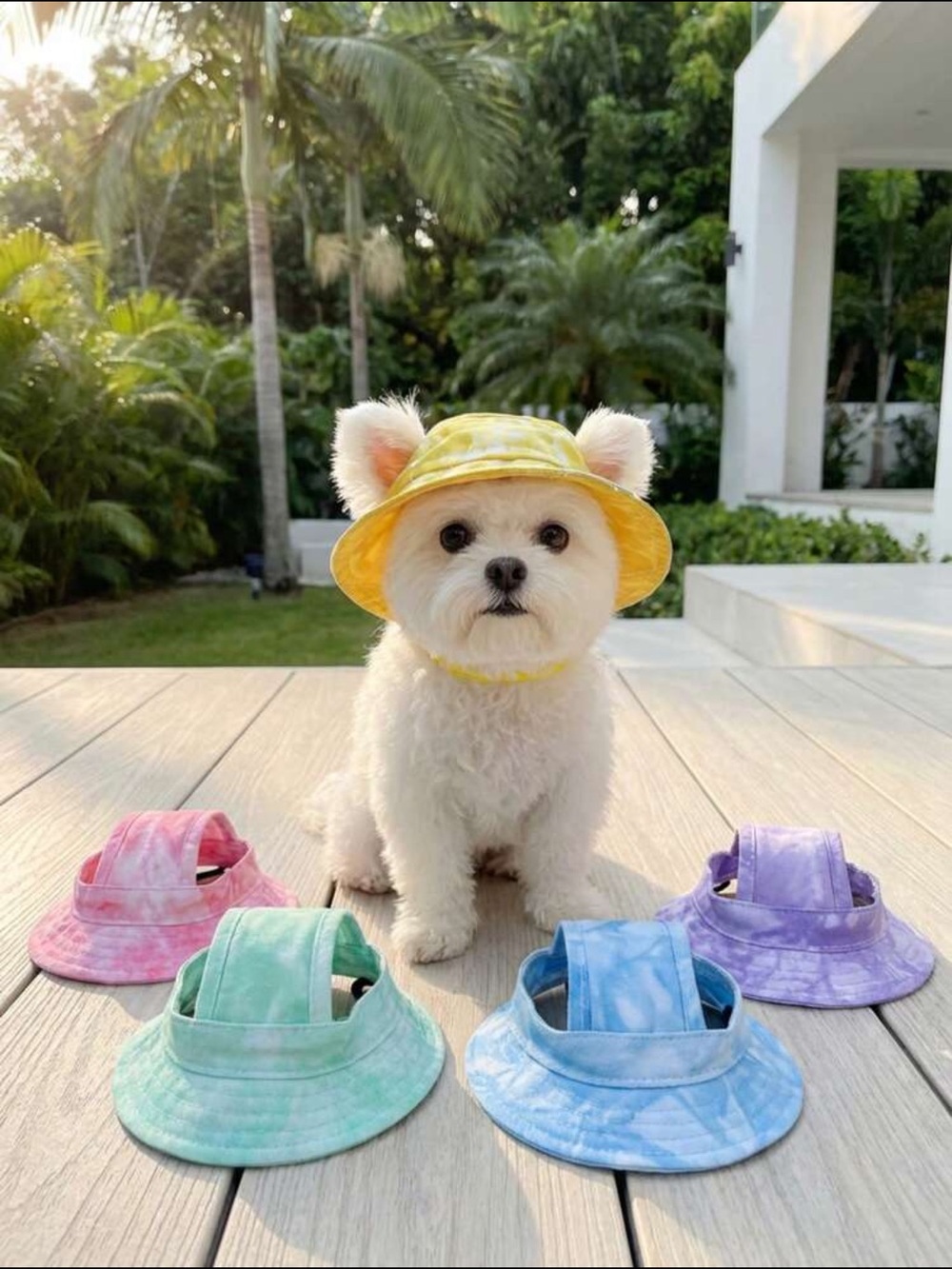 Blue Tie-Dye Cat/Dog Bucket Hat